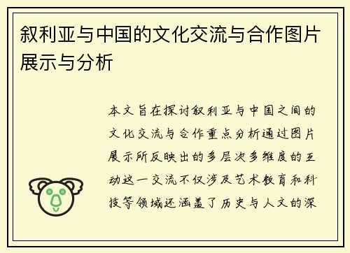 叙利亚与中国的文化交流与合作图片展示与分析